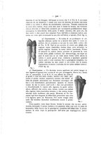 giornale/TO00195913/1910-1911/unico/00000584