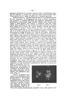 giornale/TO00195913/1910-1911/unico/00000605