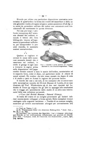 La stomatologia periodico mensile