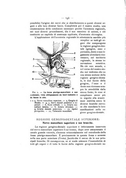 La stomatologia periodico mensile