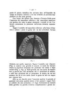 giornale/TO00195913/1911-1912/unico/00000473