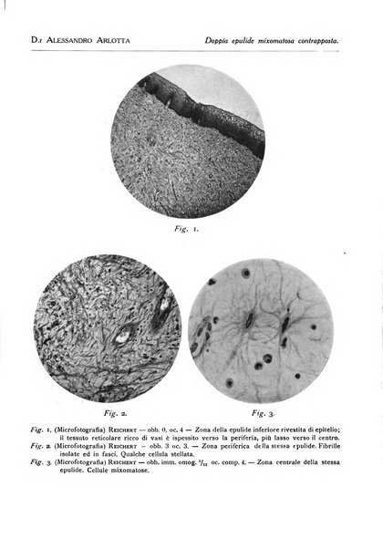 La stomatologia periodico mensile