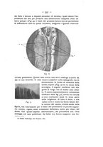 giornale/TO00195913/1911-1912/unico/00000625