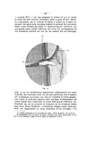 giornale/TO00195913/1911-1912/unico/00000629