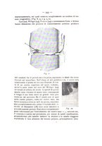 giornale/TO00195913/1911-1912/unico/00000631