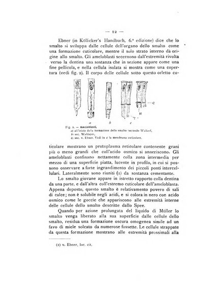 La stomatologia periodico mensile