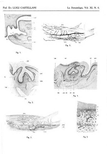 La stomatologia periodico mensile