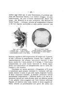 giornale/TO00195913/1912-1913/unico/00000429