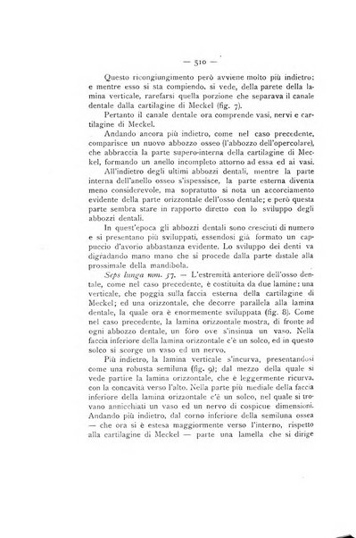 La stomatologia periodico mensile