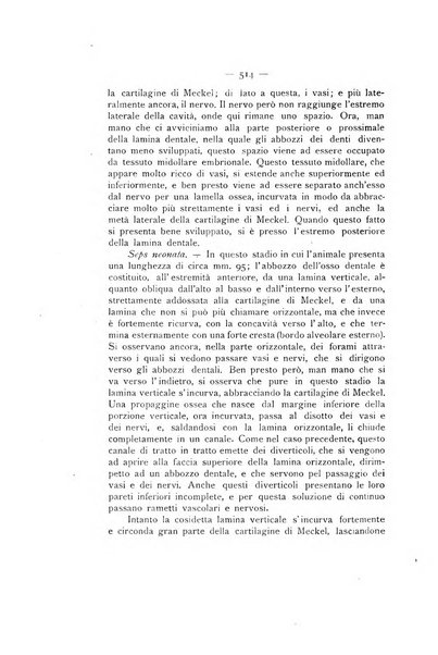 La stomatologia periodico mensile