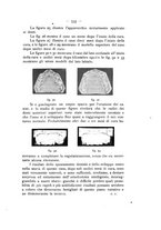 giornale/TO00195913/1912-1913/unico/00000611