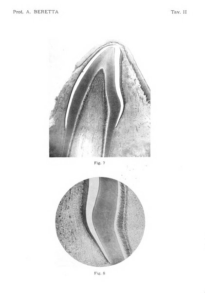 La stomatologia periodico mensile