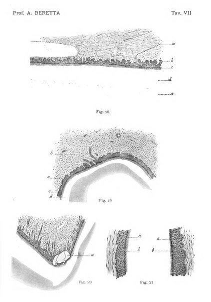 La stomatologia periodico mensile