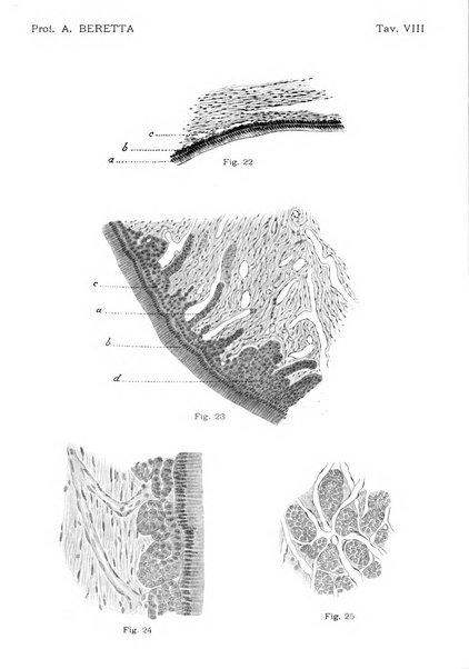 La stomatologia periodico mensile