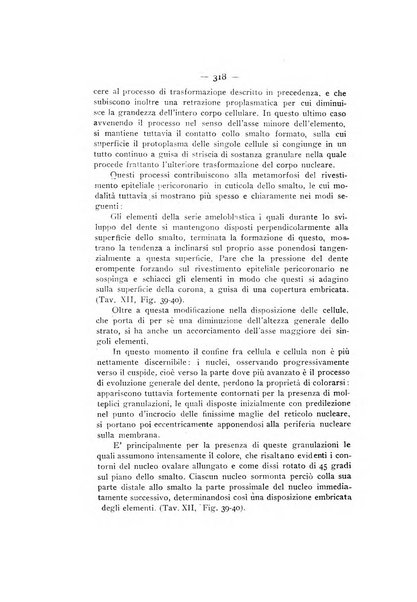 La stomatologia periodico mensile