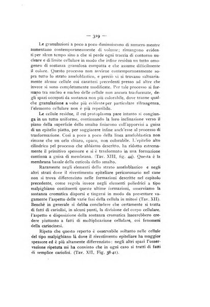 La stomatologia periodico mensile