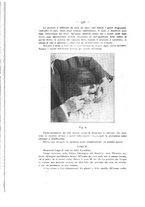 giornale/TO00195913/1913-1914/unico/00000438