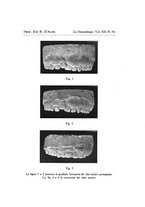 giornale/TO00195913/1913-1914/unico/00000589