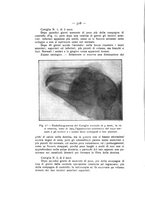 giornale/TO00195913/1913-1914/unico/00000650