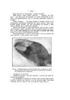 giornale/TO00195913/1913-1914/unico/00000651