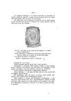 giornale/TO00195913/1913-1914/unico/00000655