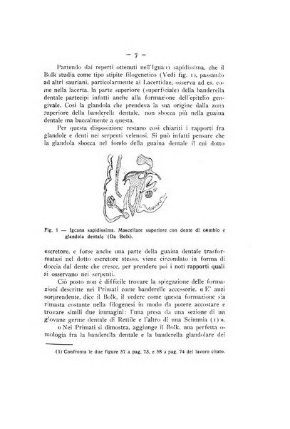 La stomatologia periodico mensile