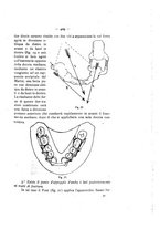 giornale/TO00195913/1914-1915/unico/00000487