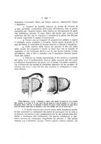 giornale/TO00195913/1918-1919/unico/00000183