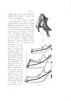 giornale/TO00195913/1918-1919/unico/00000325