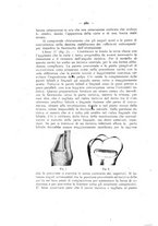 giornale/TO00195913/1918-1919/unico/00000338