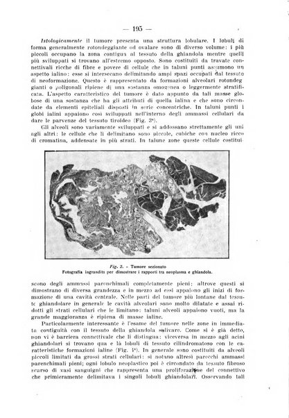 La stomatologia periodico mensile