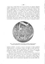 giornale/TO00195913/1921/unico/00000236