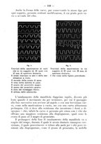 giornale/TO00195913/1922/unico/00000143