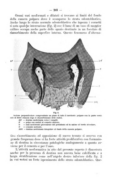 La stomatologia periodico mensile