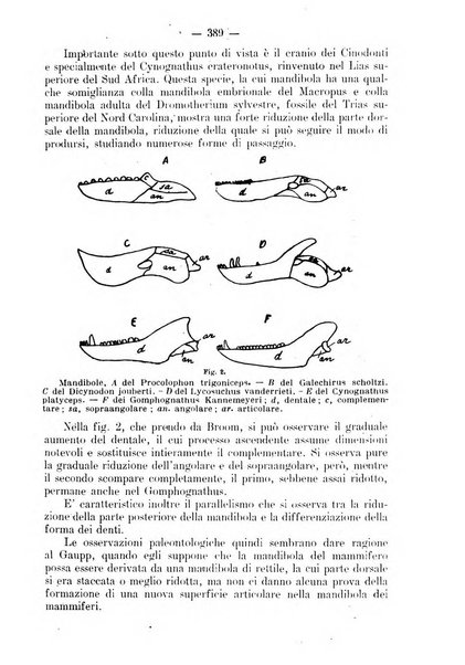 La stomatologia periodico mensile