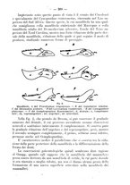 giornale/TO00195913/1922/unico/00000431