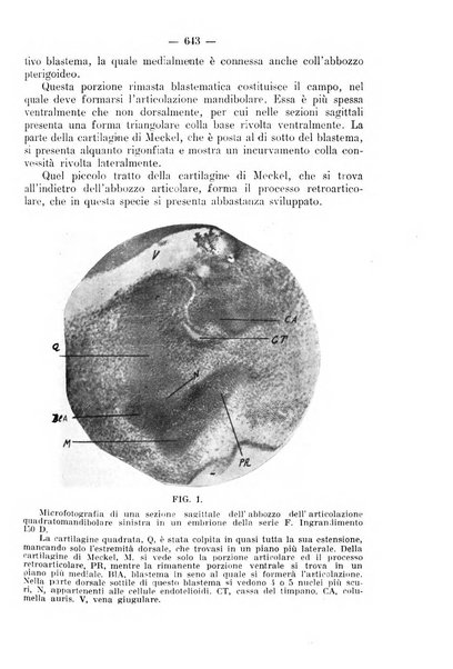 La stomatologia periodico mensile