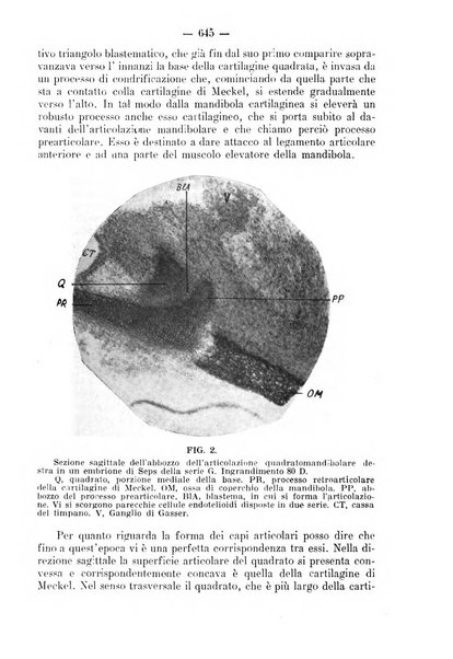 La stomatologia periodico mensile