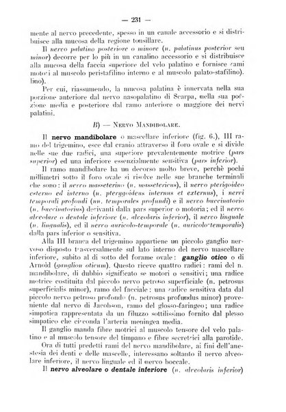 La stomatologia periodico mensile