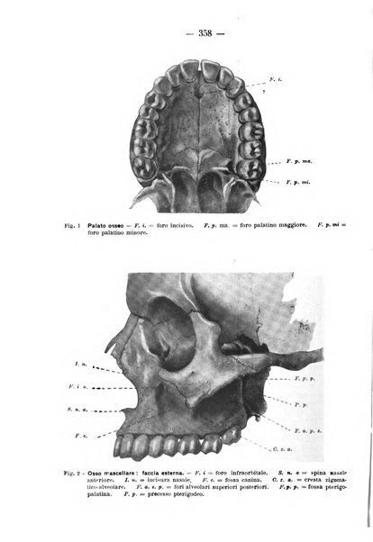 La stomatologia periodico mensile