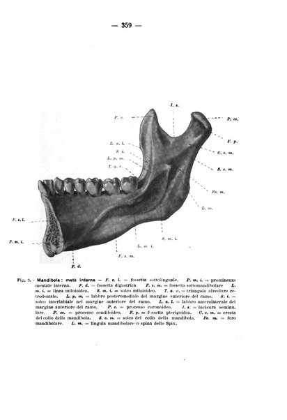 La stomatologia periodico mensile