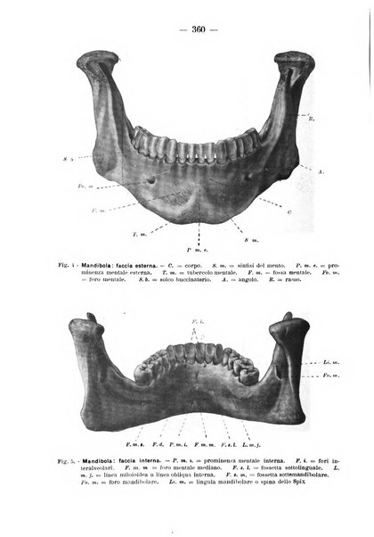 La stomatologia periodico mensile