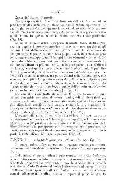 La stomatologia periodico mensile