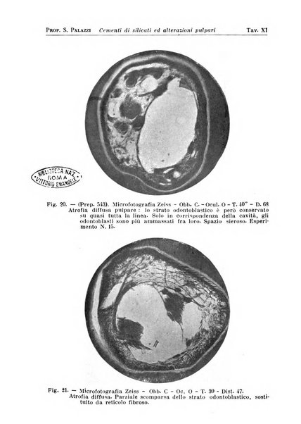 La stomatologia periodico mensile