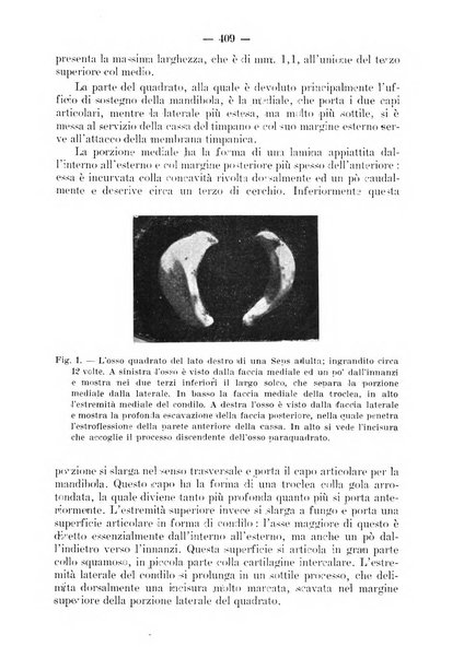 La stomatologia periodico mensile