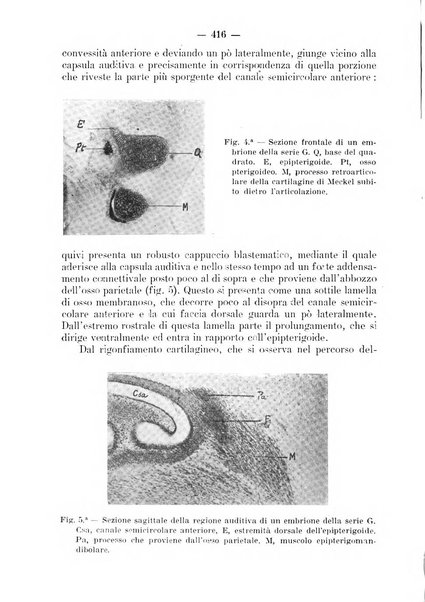 La stomatologia periodico mensile