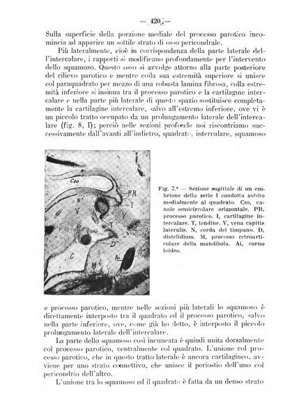 La stomatologia periodico mensile