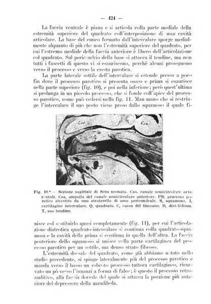 La stomatologia periodico mensile