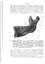 giornale/TO00195913/1923/unico/00000614