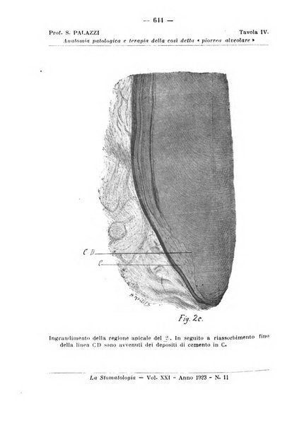 La stomatologia periodico mensile